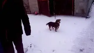 Просто посмотри