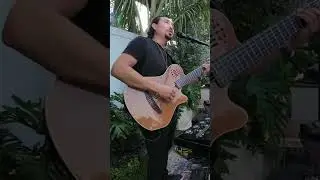 La Barca - Mexican Song #shorts #shortsfeed #short #shortsviral #luismiguel