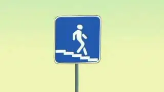 Зебры в городе. в 8х