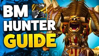 UPDATED BM HUNTER PVE GUIDE