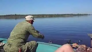 кама.лещ.01.07.2013.