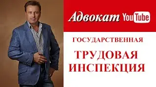 Как работает государственная трудовая инспекция