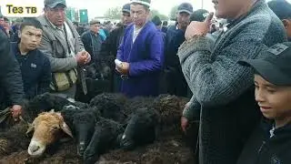 дехконобод мол бозори нархлари