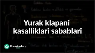 Yurak klapani kasalliklari sabablari | Tibbiyot