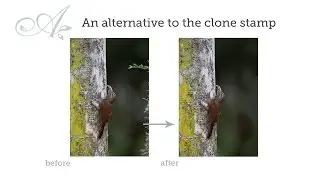 CloneStampAlternative