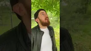 Приключения Алика: «Кошковый спасатель» 