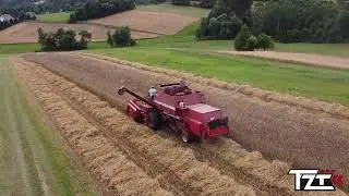 Przenica Pod kose ✓!Młodzi w Akcji✿Massey✿Ursus✿Sanok✿ Tzt✿Subskrybuj!