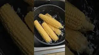 Easy way to Boil Corn on the Cob on the Stove!  