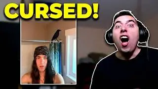 Why is there a CROW in his bathroom?! Unusual Memes V369 Reaction