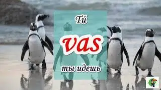 IR (идти, ехать).🚶‍♂️🛺 . Тренажер испанских глаголов. Настоящее  время.