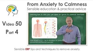 ERP tips, tricks and examples - Part 4 (of 5) of the Anxiety Exposure & Response Prevention Series
