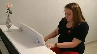 Баллада для Аделины - Поль де Сенневиль(Климова Елена) - Детская библиотека