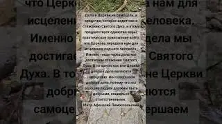 8 септември 2024 г.