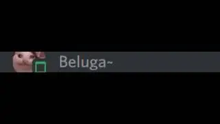 Hecker loses his BFF (inspired by beluga)