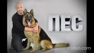 пес саундтрек грустная тема