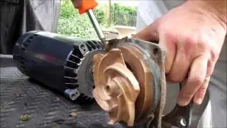 Anthony (Sta-Rite) Bronze Pool Pump Motor Replacement