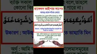 সাপের কামড় থেকে বাঁচার দোয়া | Prayer to save from snake bite | রাসেলস ভাইপার সাপ থেকে বাঁচার দোয়া