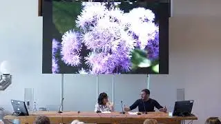 UN GIARDINO DI PALME A GAETA