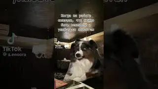 Улыбайся клиентам! 😅