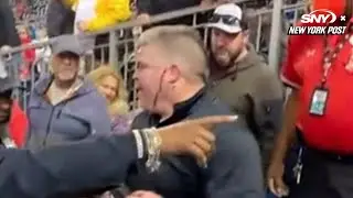 Fan left bloodied after attacking usher at Nationals game | New York Post Sports
