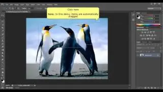 Working with marquee tool in Adobe Photoshop CS6