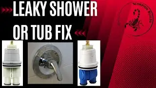 Shower / Tub Leak Repair: delta Leaking shower (CARTRIDGE REPLACEMENT )