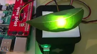 Plant Foliage Health Monitor Intro