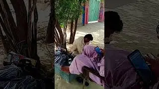 short video tiktok video 2023