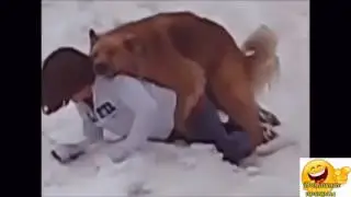 ПРИКОЛЫ.ТЕСТ НА ПСИХИКУ СПОРИМ ЗАСМЕЁШЬСЯ #  НОВИНКА |FUN TEST ON THE PSYCHE ARGUE LAUGH # NEW