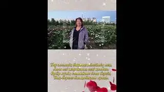 Алима ханым, туған күніңіз құтты болсын!
