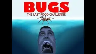TF VLOG: Bugs the last food challenge