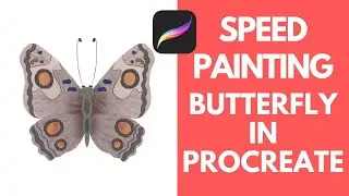 PROCREATE TIMELAPSE | Procreate Butterfly Drawing