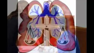 missouri mesothelioma lawyer