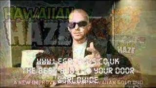Mary Jane - Collie Buddz - On The Rocks - 2009