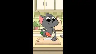 Cooking cat 