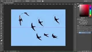 Patch Tool in Adobe Photoshop CC