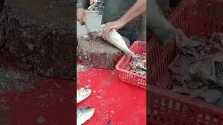 Fish cleaning method at home #video #viral #shorts #shortsvideo