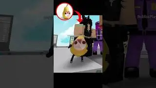 Teto Pear 