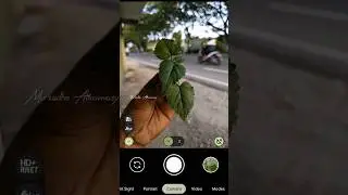 LMC R15 on Pixel 3A