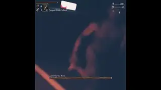 Just another average night in Yharnam