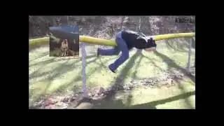 По ком орёт суслик