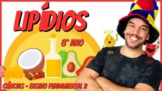 Lipídios | O que são - Funções - Categorias - Classificação - Gordura Trans - Colesterol | Ciências
