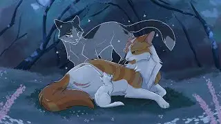 I WAS WRONG//Swiftpaw & Brightheart MAP(19/24 done) THUMBNAIL CONTEST OPEN