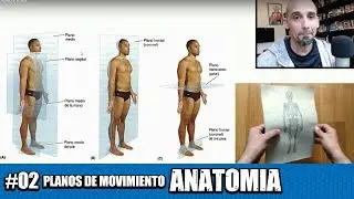 Planes of motion, axes and torque in anatomy (with exercises)