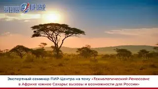 «Технологический Ренессанс» в Африке южнее Сахары: вызовы и возможности для России