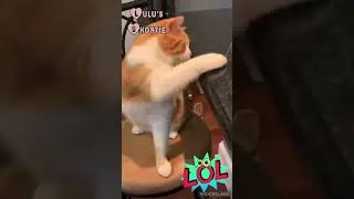 Can't touch this 🤣😂