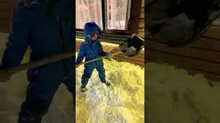 Кабанчик чистит снег