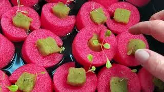 How to Make a Pool Noodle Hydroponic Growing System