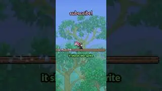 terraria's SILLIEST items
