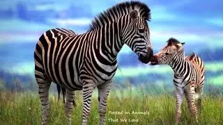 Happy Mother's Day!